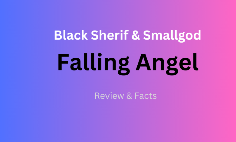 Review: Black Sherif & Smallgod - Fallen Angel